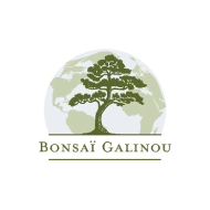 bonsai-galinou.png